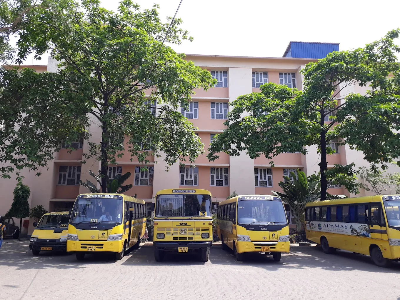 Adamas International School